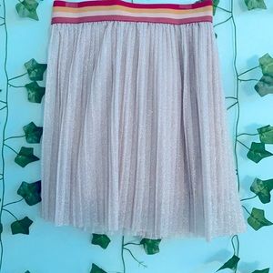 Zara Pleated Sparkly Skirt